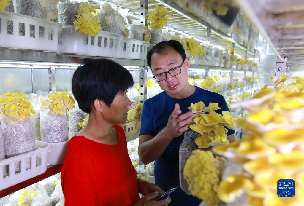 发大财棋牌官网